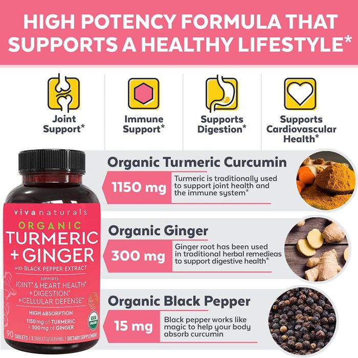 Viva Naturals Organic Turmeric Ginger Digestion Support 90 Caps