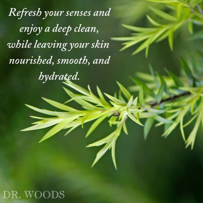 "Dr. Woods vegan castile soap – non-toxic, biodegradable, and sulfate-free"