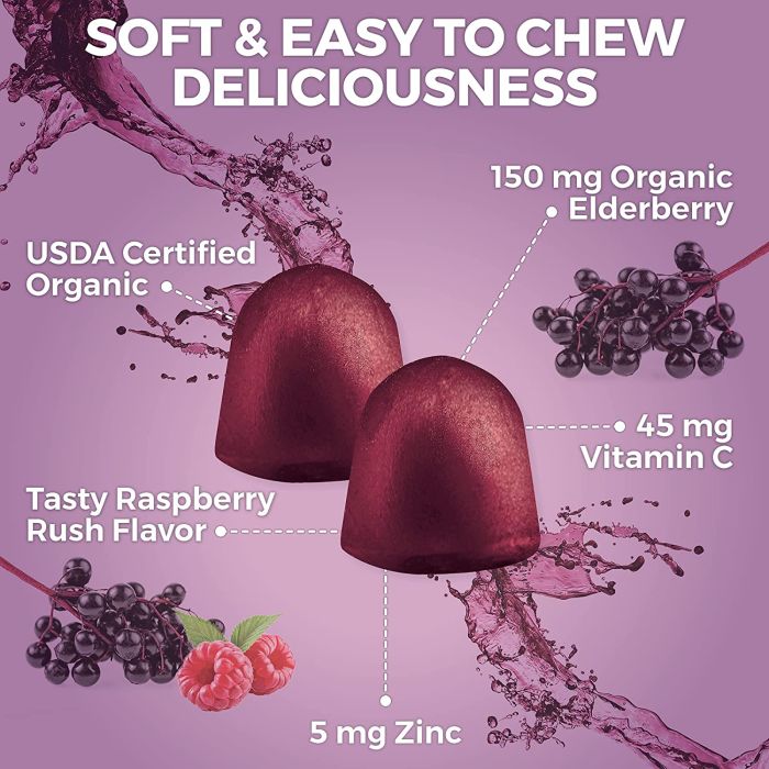 Front label of Viva Naturals Elderberry – USDA Organic, Vegan, Non-GMO seal