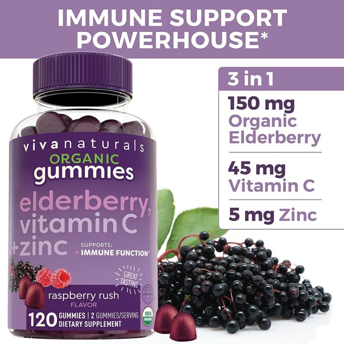 Viva Naturals Organic Elderberry Gummies – 120-count bottle with Vitamin C and Zinc