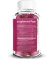 WellPath Boost Elderberry Zinc Gummies bottle – 60 vegan gummies for immune support